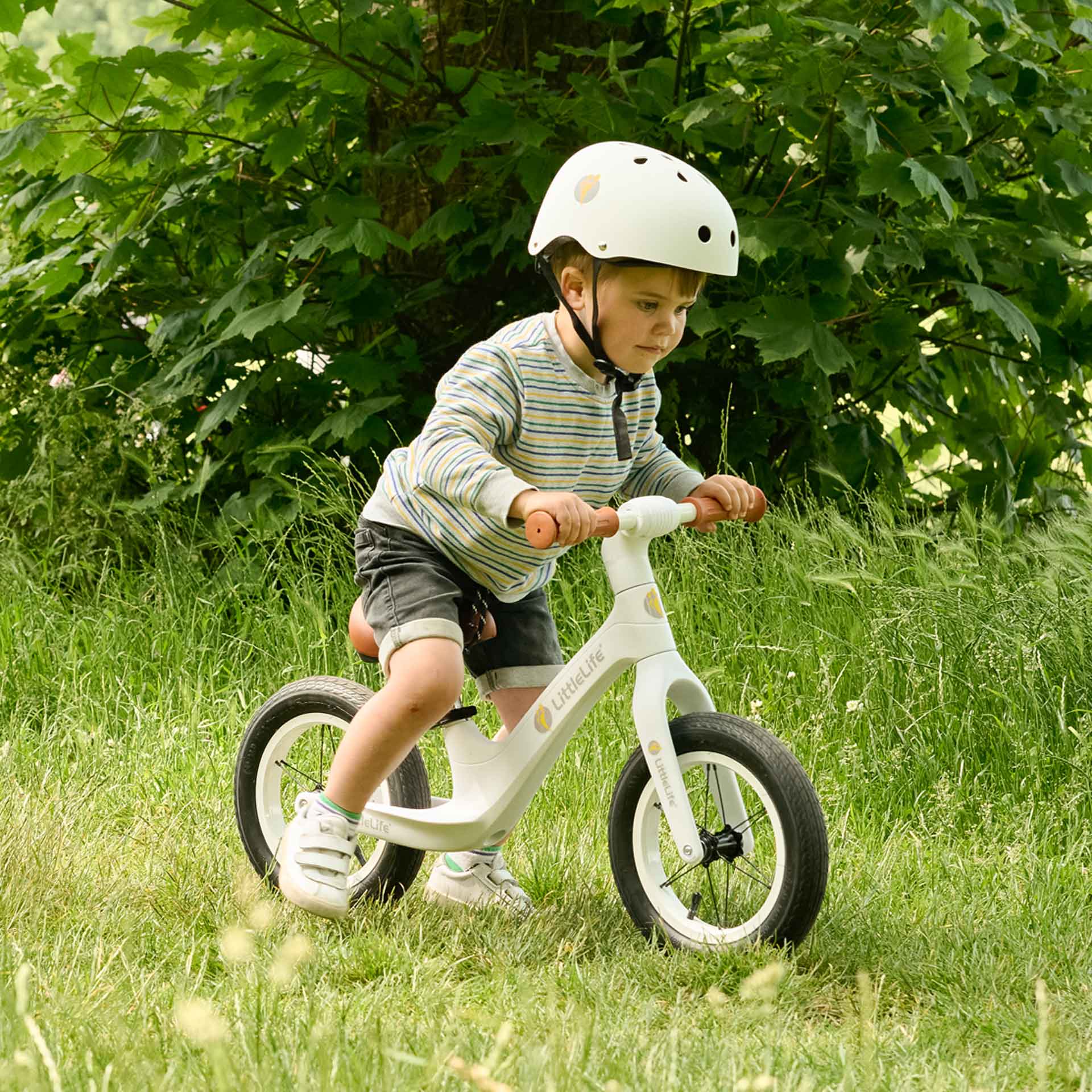 Balance Bike - Image 12