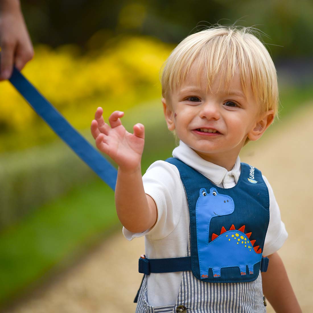 Dinosaur Toddler Reins - Image 7