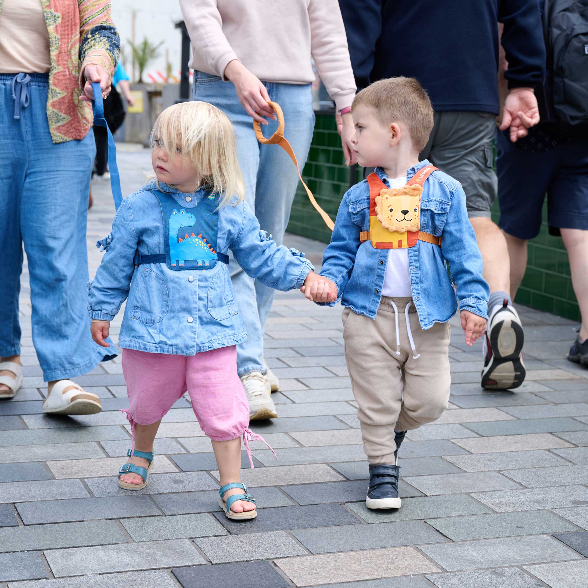 Lion Toddler Reins - Image 3