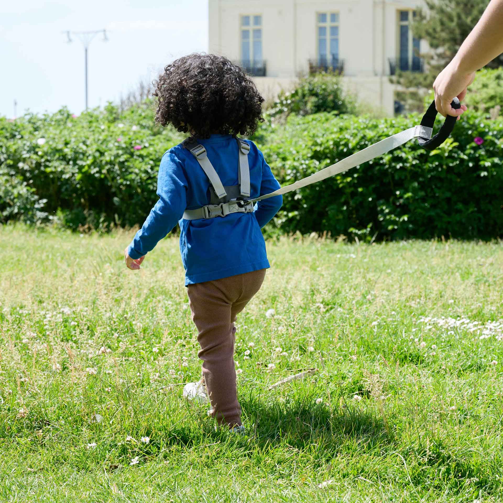 Toddler Reins - Image 19