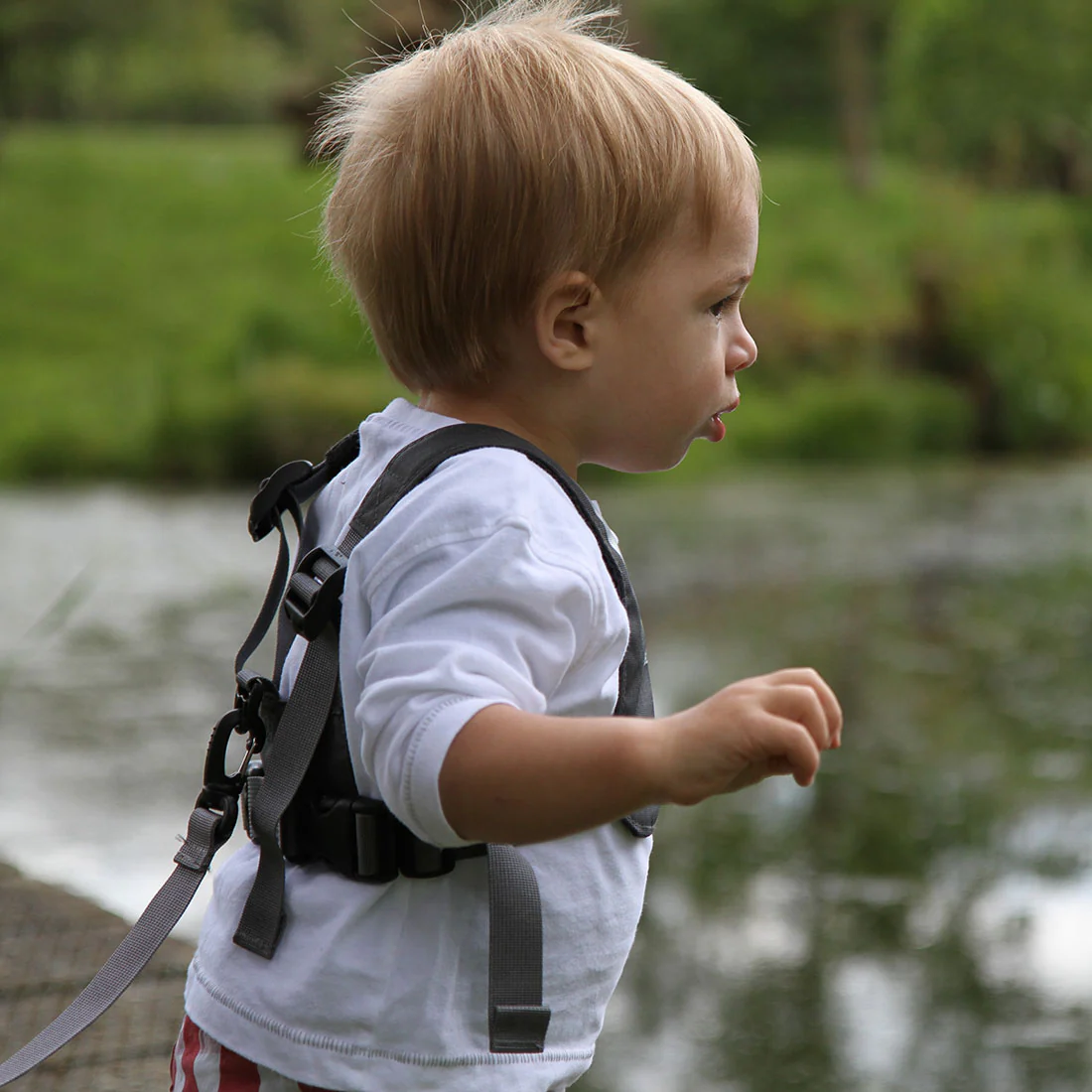 Toddler Reins - Image 21